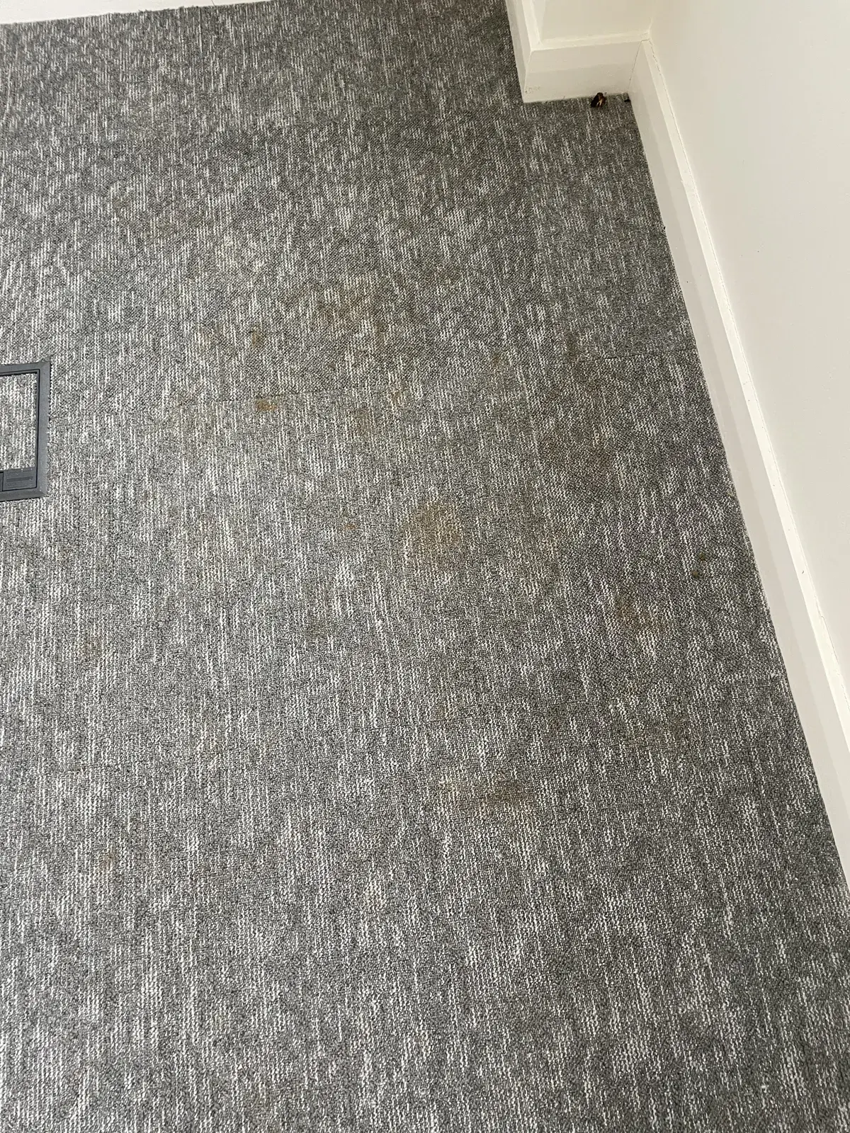 Amazon Strip-out — project photograph 2