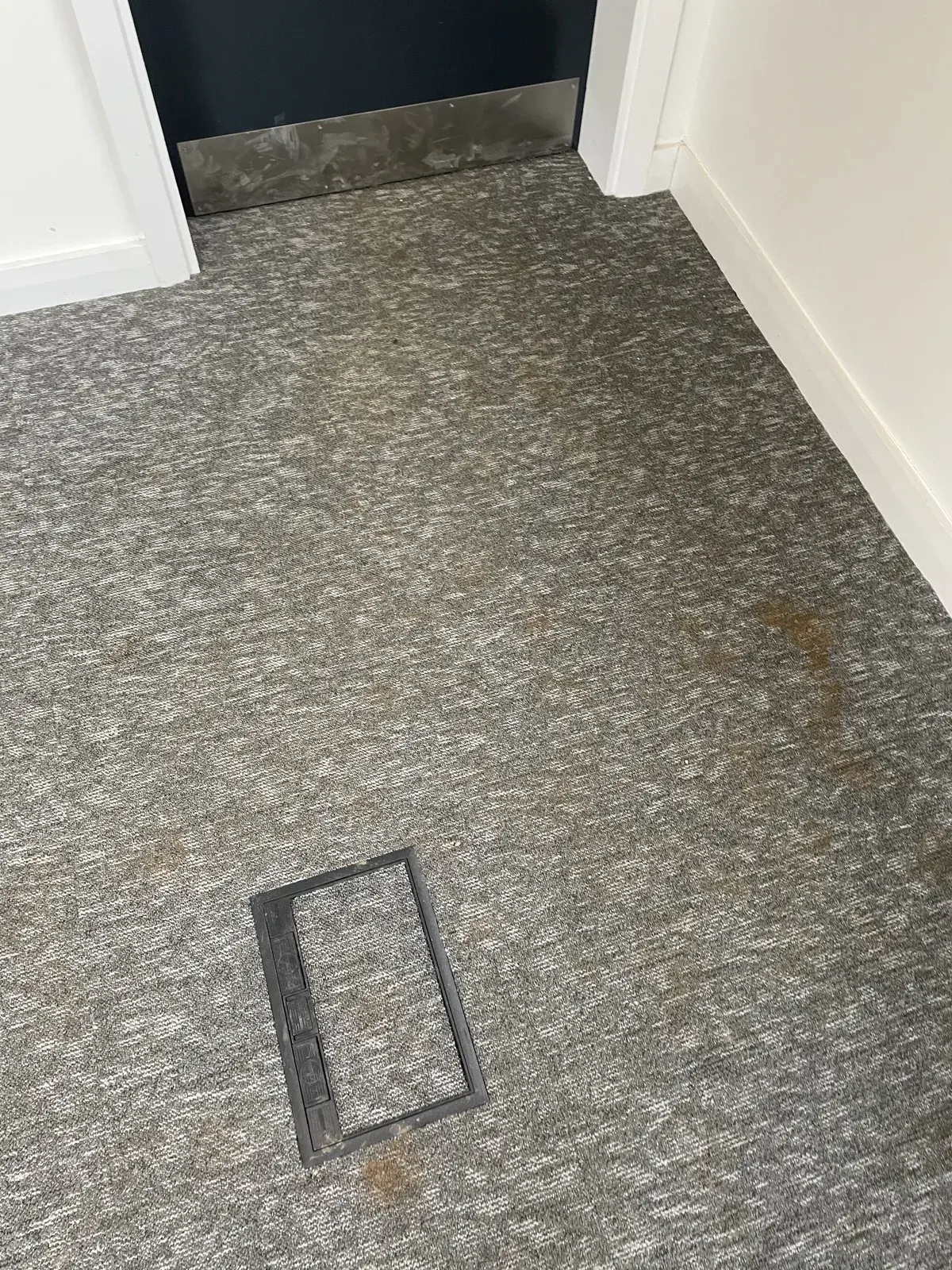 Amazon Strip-out — project photograph 3