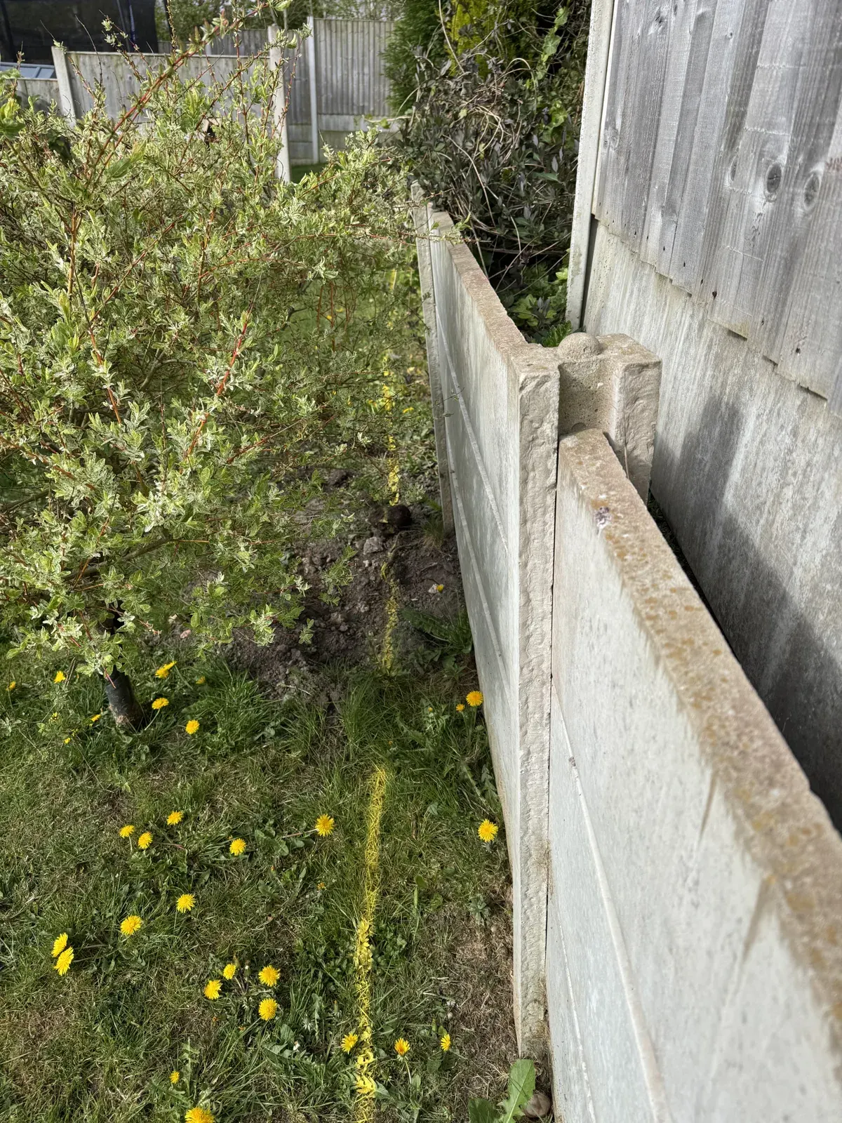 Cheadle Retaining Wall — project photograph 2